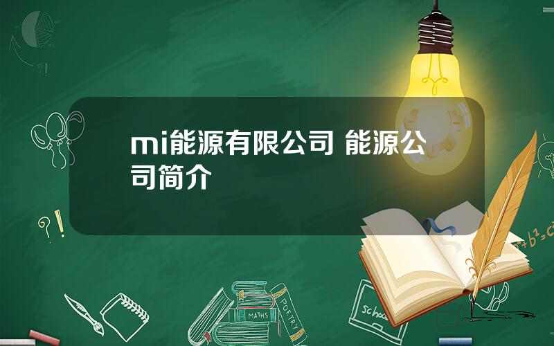 mi能源有限公司 能源公司简介